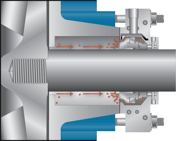 seal-cavity-no-st-image