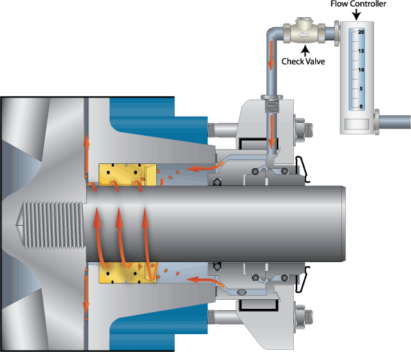 seal-cavity-with-st-image